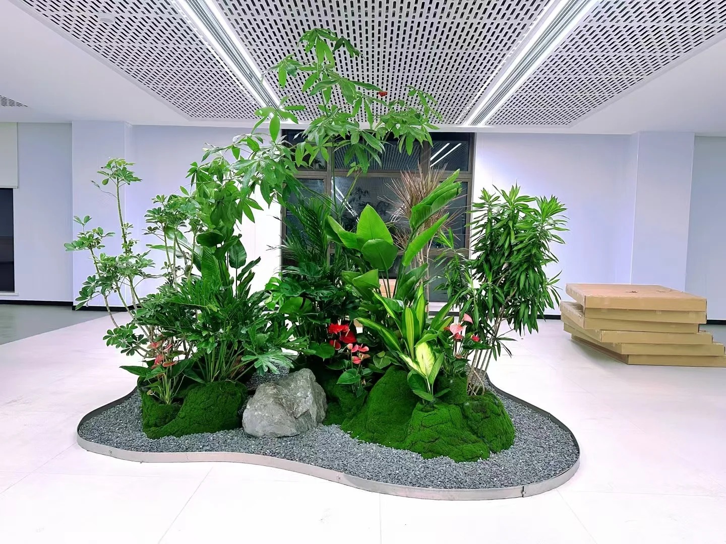 余姚植物租摆哪家出色？全方位对比，一目了然